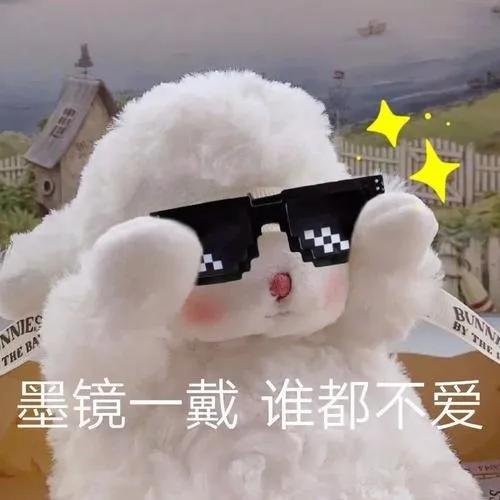 小狗用英语怎么说儿歌,小狗用韩文怎么说