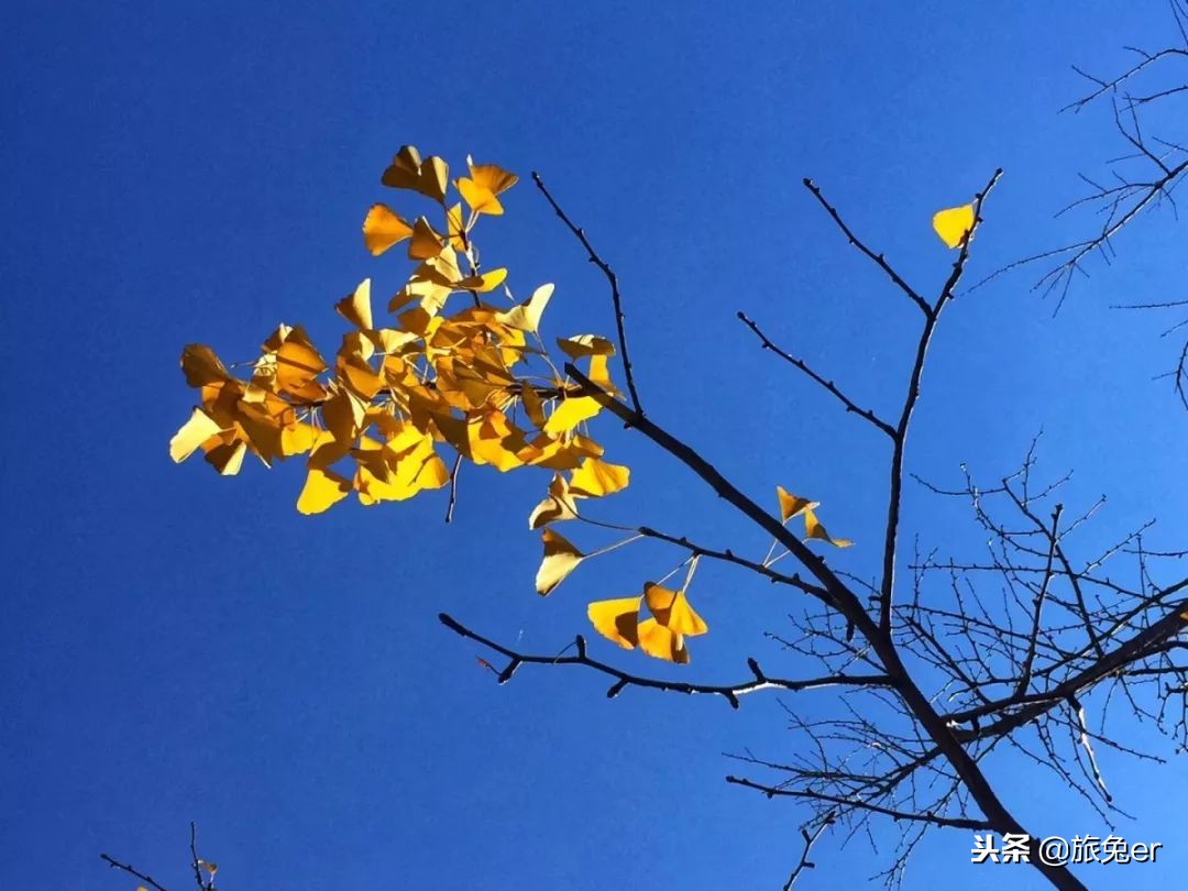 鏄嗘槑璇勪笂鍏ㄧ悆涓夌嚎鍩庡競,鏄嗘槑鏈夊彲鑳芥垚涓哄叏鐞冧笁绾垮煄甯傚悧