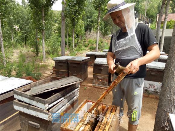 张纪文导演,张纪文公示