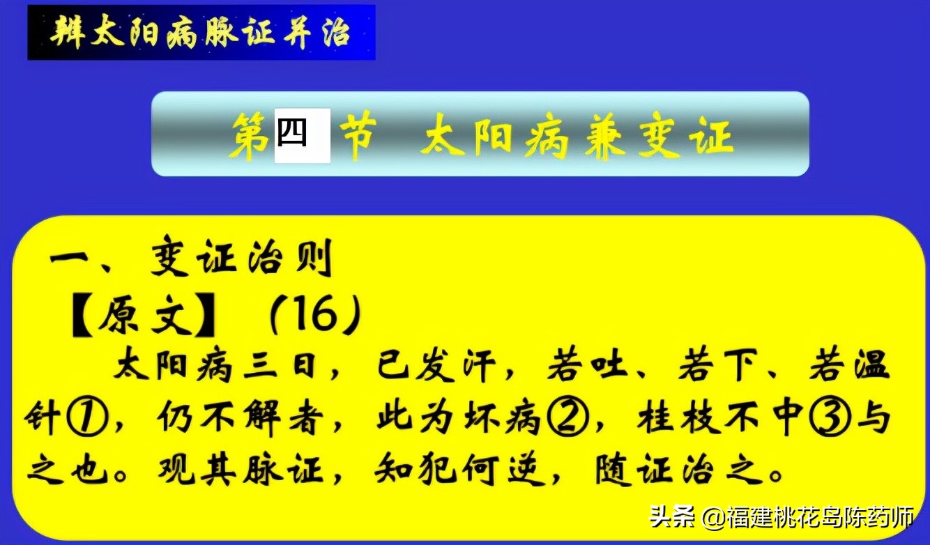 太阳病四大症状九大类,太阳病第三讲