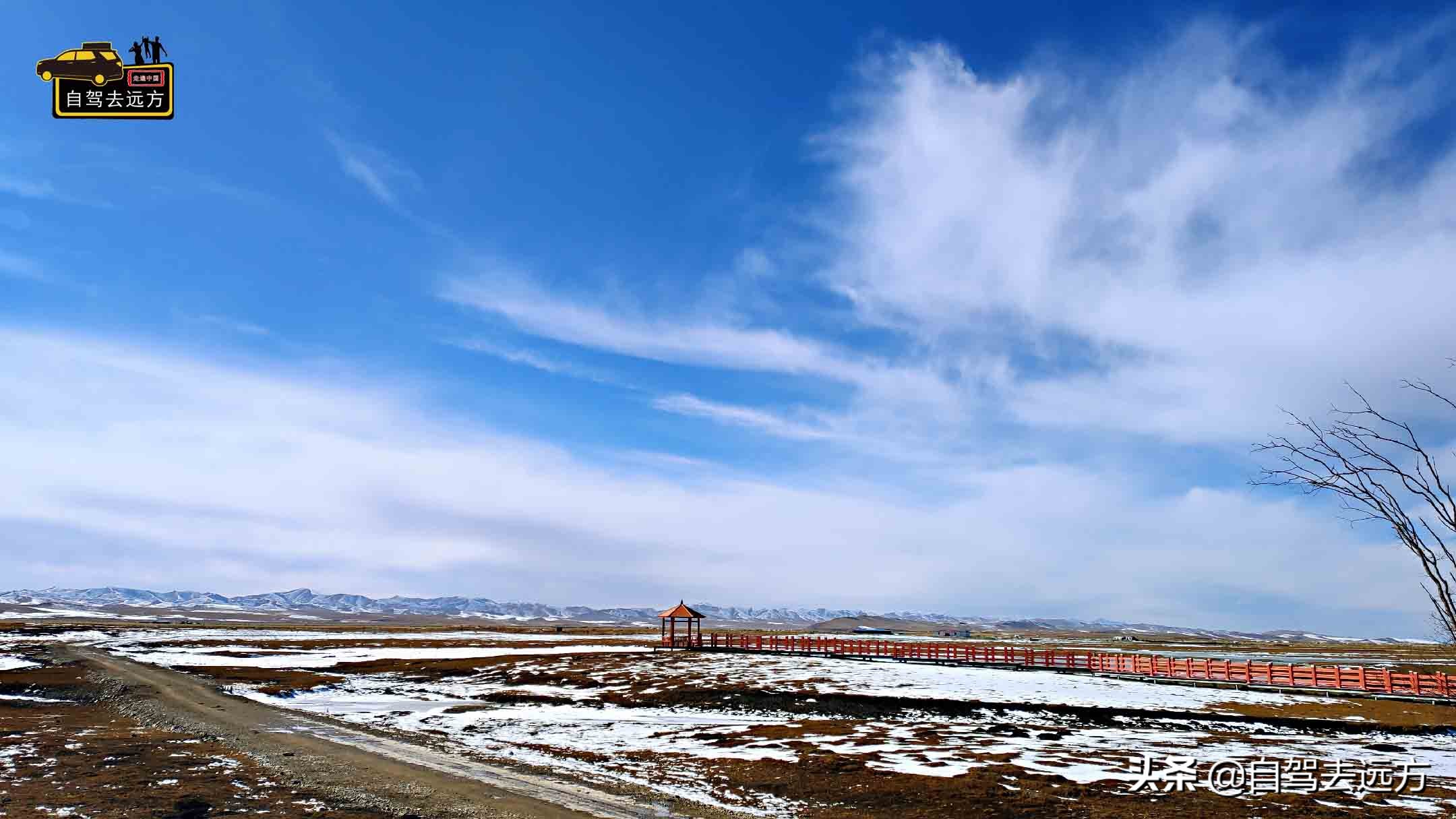 玛曲县秘境,甘南玛曲免费景点