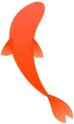 如何学会鲤鱼打挺教学视频,10秒教你鲤鱼打挺