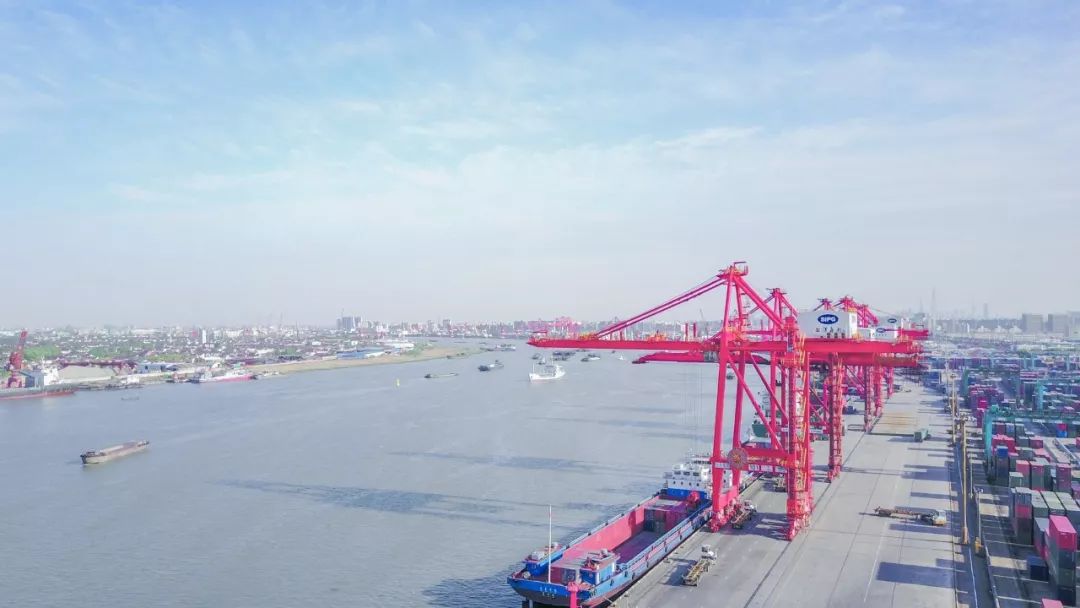 同是上海人，这16家却互相“看不起”，到底哪来的优越感？