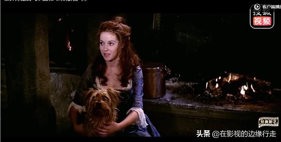 聊聊《水晶鞋与玫瑰花》——多看看童话，能洗礼压抑又枯燥的精神