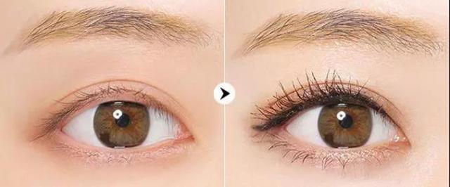 超好用睫毛膏浓密纤长,超级好用的睫毛膏黑色和紫色