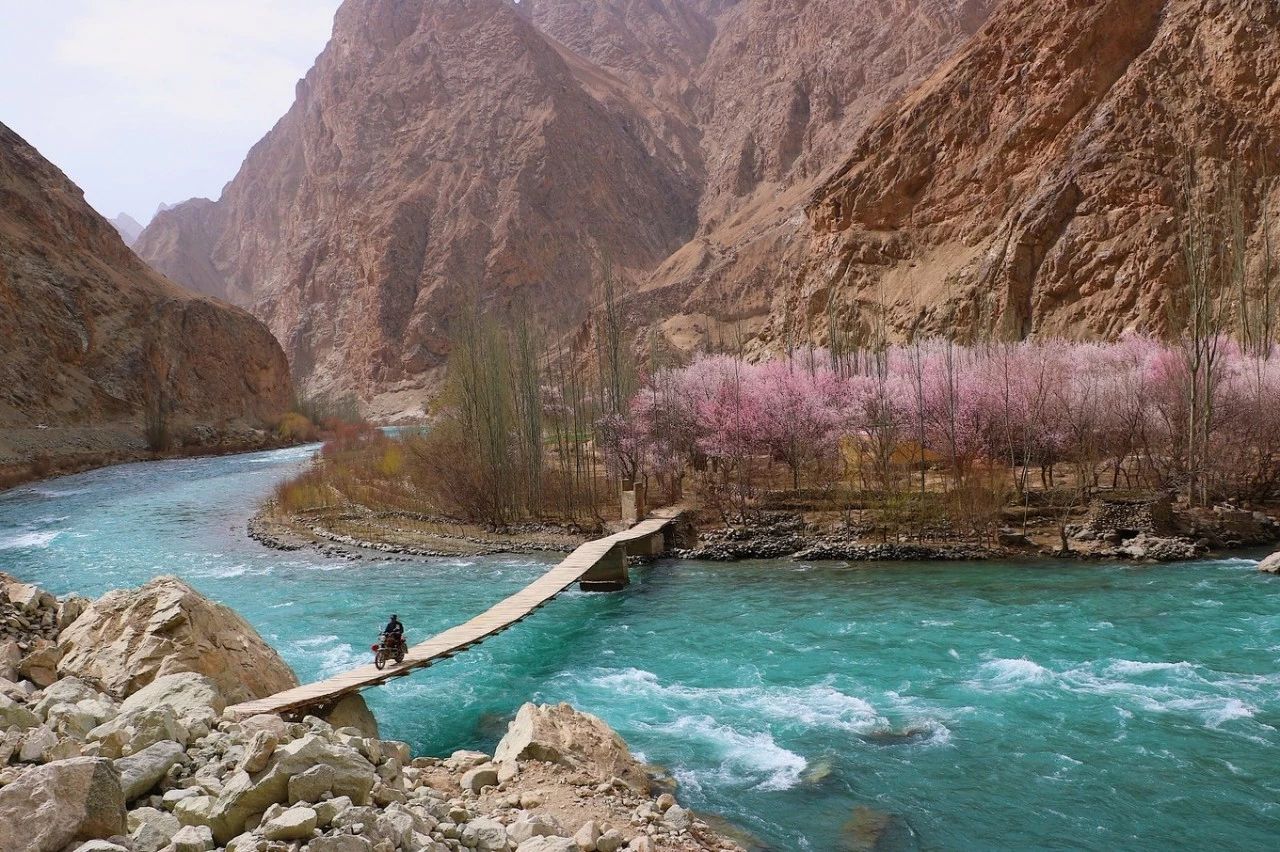 走马春季追花线|春漫*疆新**，牧笛声声中的杏花村
