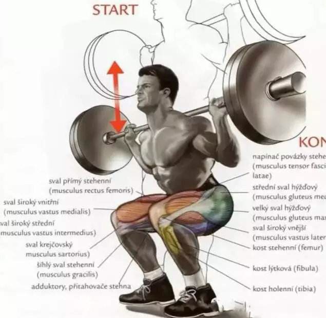 深蹲后头晕恶心想吐是怎么回事,深蹲练后吐是怎么回事