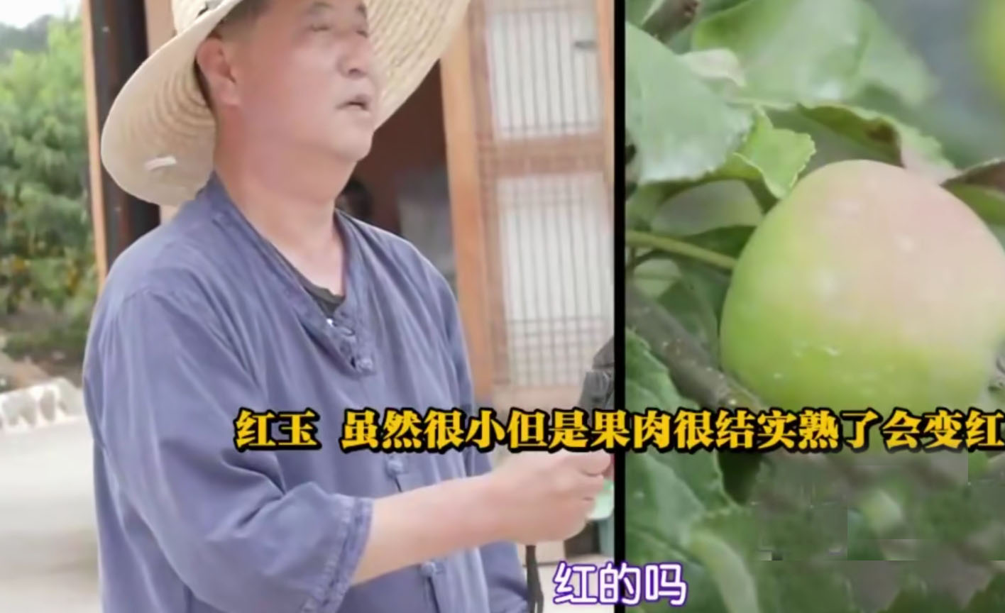 韩恩贞的房子,韩恩贞家庭住宅