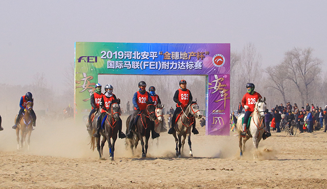 一马当先震撼视频,一马当先看起来很长的题目