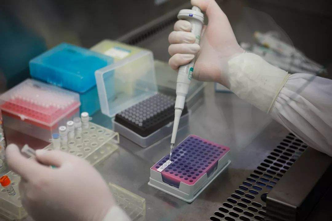 进口鳕鱼检测阳性,进口鳕鱼会有新冠病毒吗