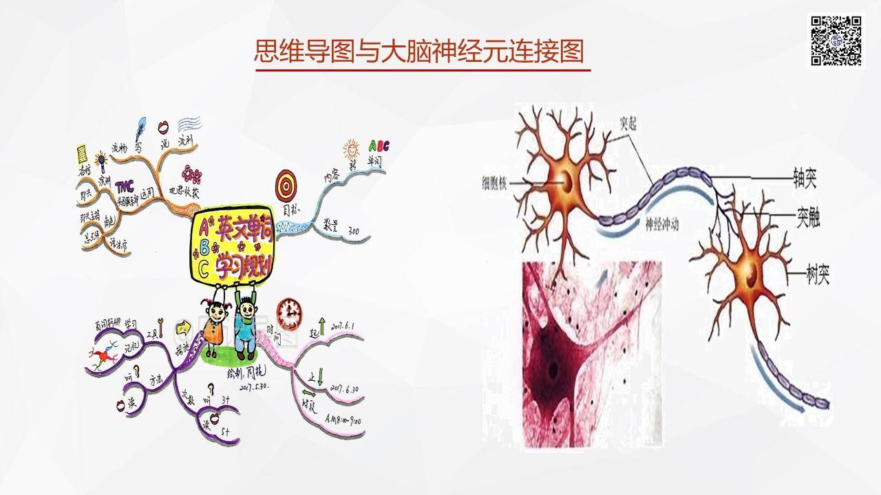 绘画零基础该从哪里学,绘画零基础学画画教程视频