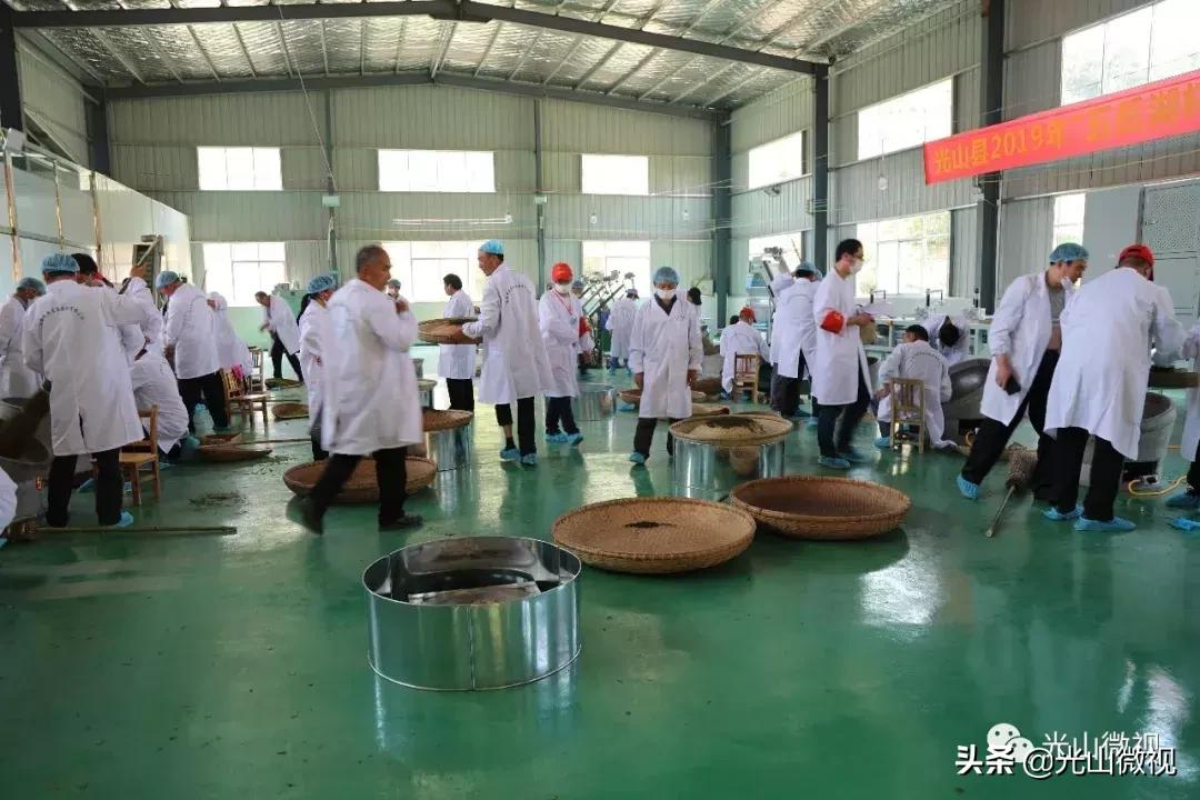 光山斗茶大赛完整版,信阳斗茶大赛获奖