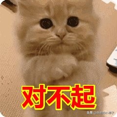 好用的快干指甲油推荐,推荐好用指甲油保护指甲