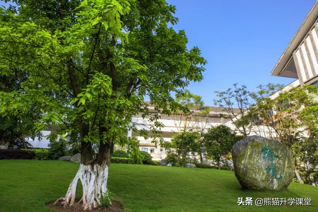 2020年重庆十八中招生人数,重庆十八中初中部招生条件