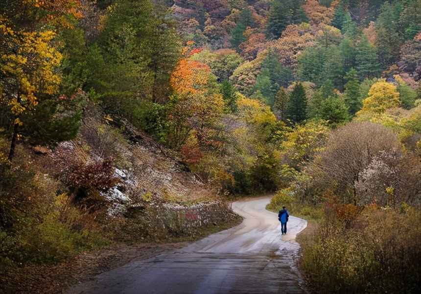 陕西5天红叶之旅,陕川交界的景区