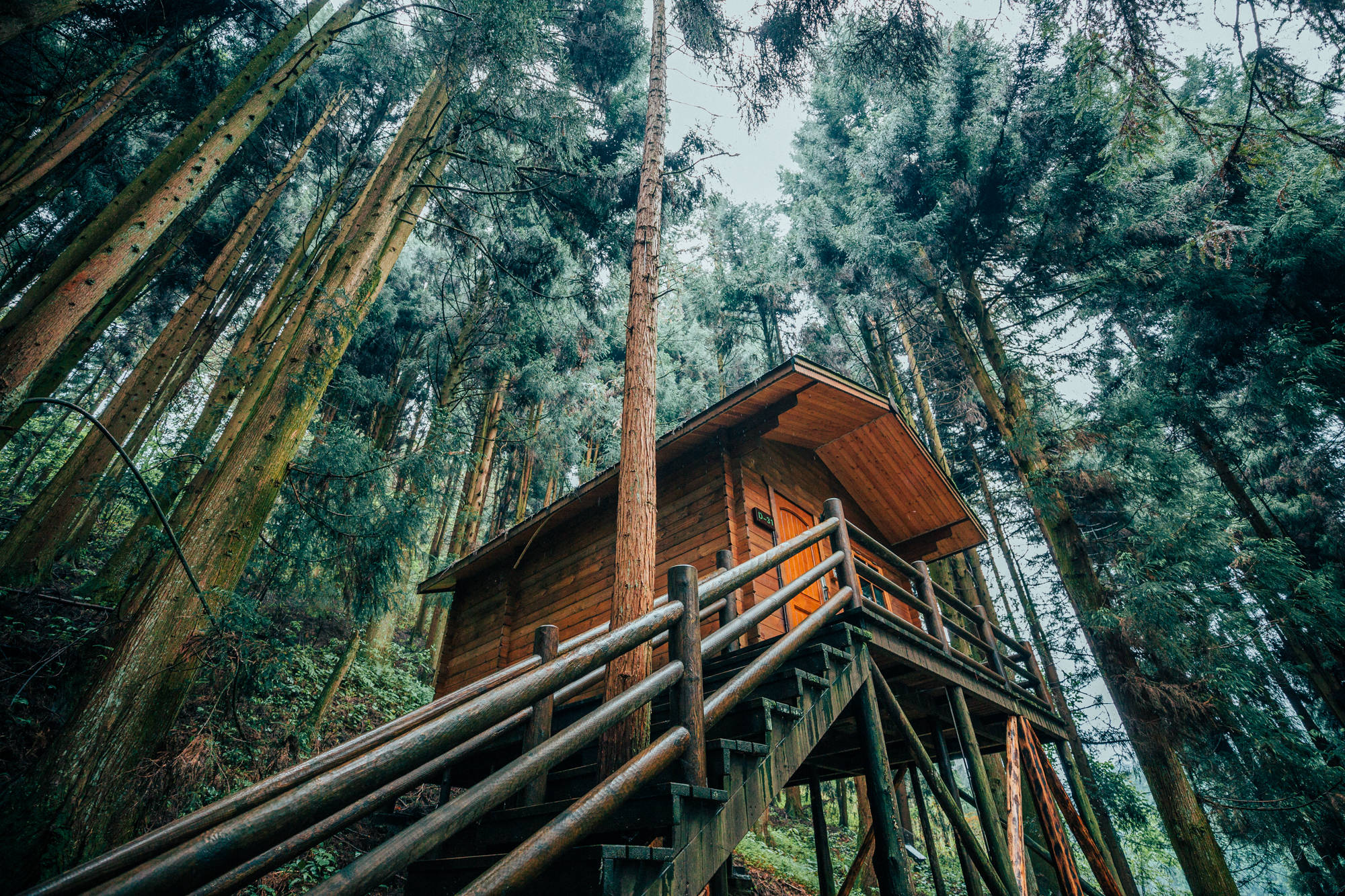 恩施坪坝营国家森林公园视频,咸丰坪坝营国家森林公园