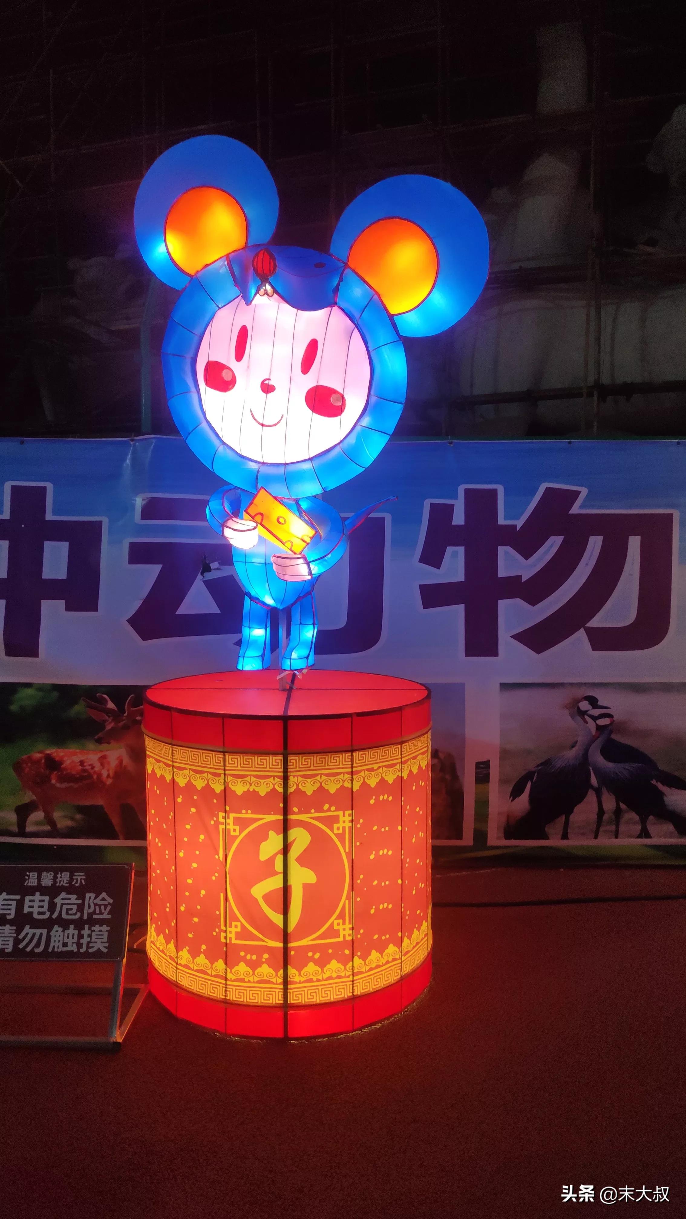 浏阳烟花花灯艺术,长沙市浏阳元宵花灯展