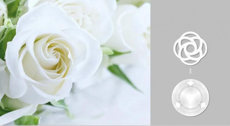 “永结同心”婚礼目的地规划方案亮相