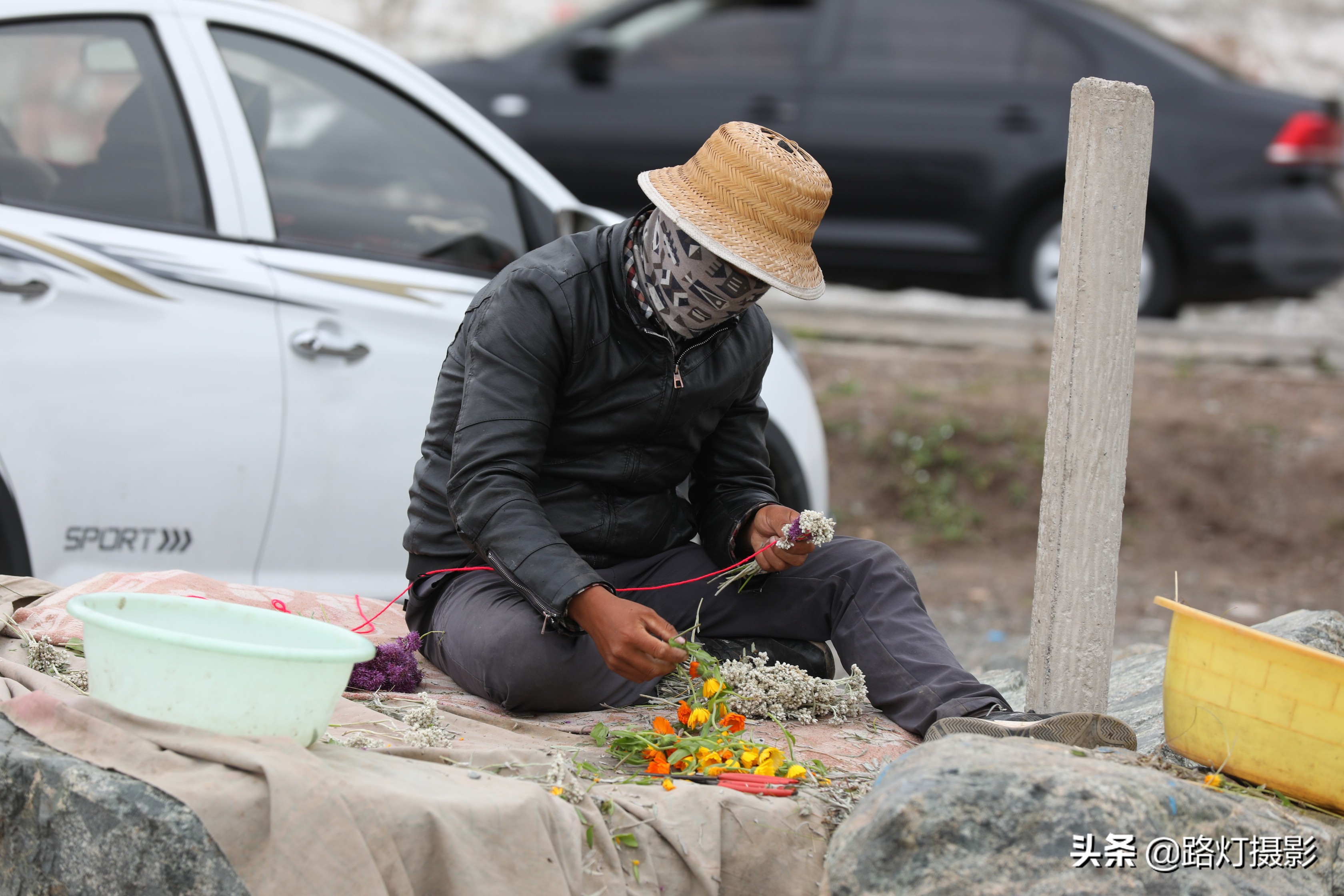 草原美丽的花海风景视频,青海花海旅游景区