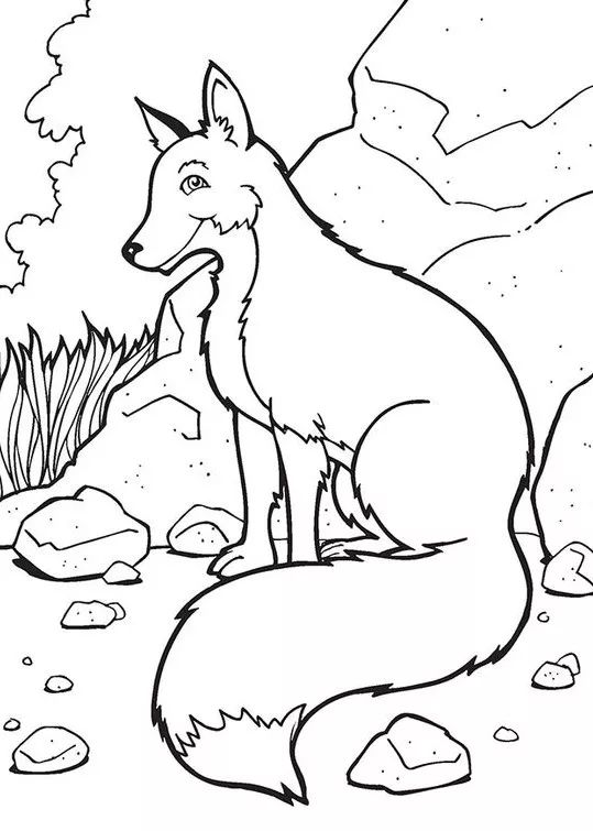 画画入门教程干货博主,基础入门画画必知