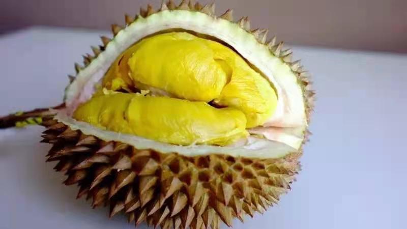 榴莲是不是热带水果之王,热带水果榴莲视频