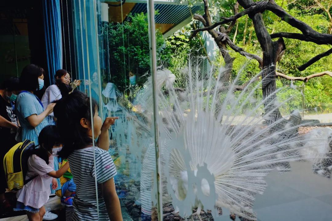 广州长隆购买攻略,广州长隆游玩攻略必买