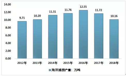 海南石斑鱼产业发展,石斑鱼发展前景和需求报告