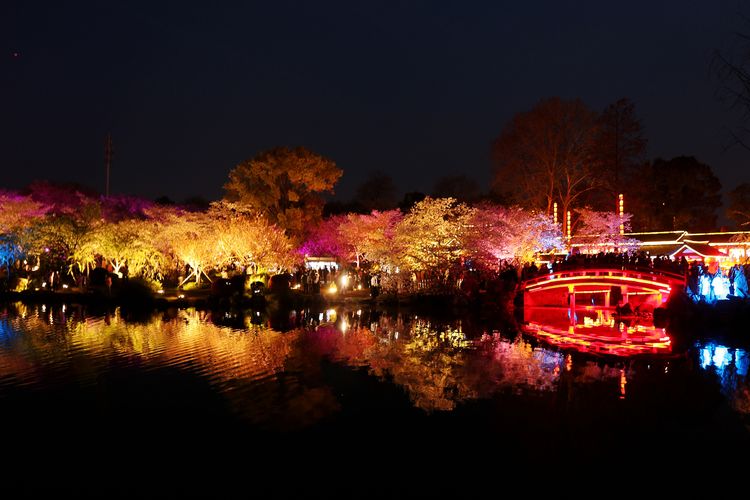 鑻遍泟褰掓潵妯辫姳鏈夌害,妯辫姳鐩涘紑鑻遍泟褰掓潵瀹屾暣瑙嗛