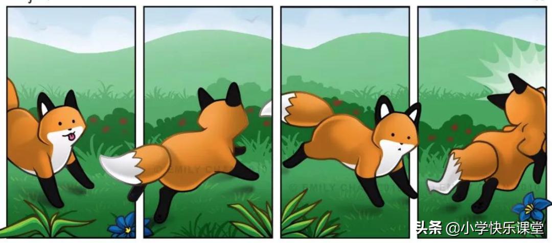 粗心的小狐狸看图写话画画,粗心的小狐狸看图写话300字
