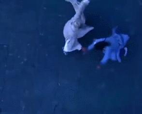 太极剑谱全套,太极剑谱完整版