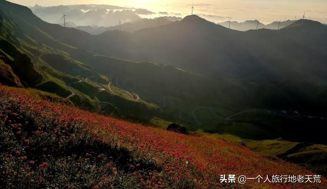 国庆带宝宝去玩的宝藏地方,贵阳国庆周边宝藏地