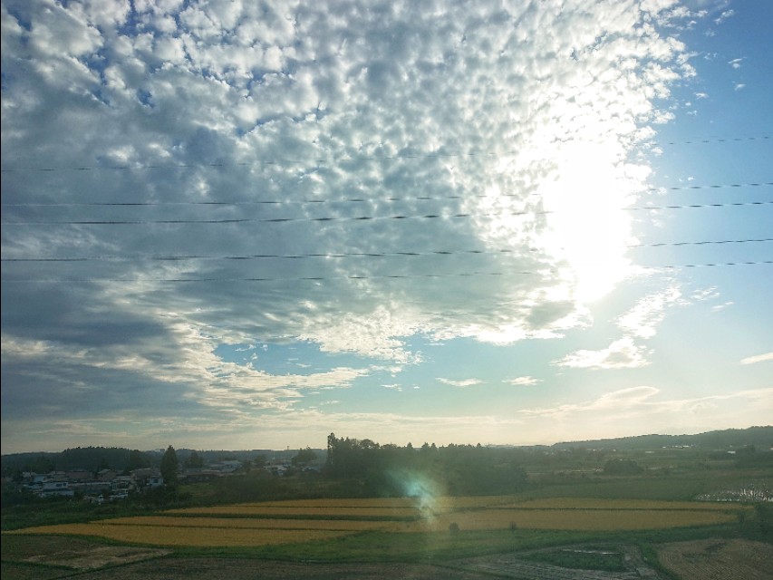 冬天到日本北海道攻略,广州去日本北海道旅游攻略