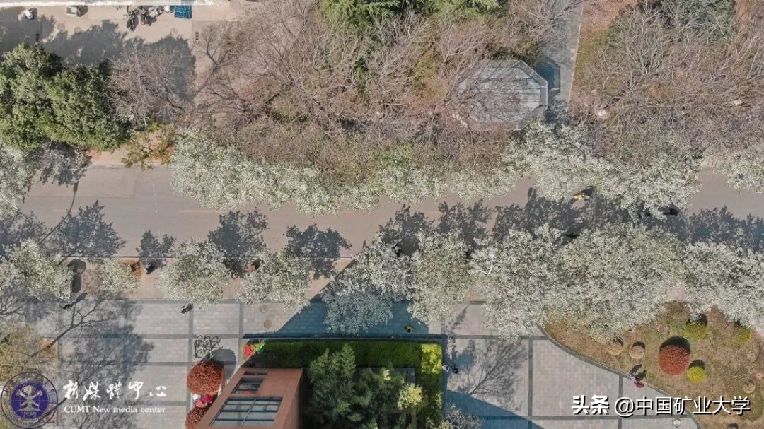 奔跑吧，矿大！校园跑的神奇打开方式！