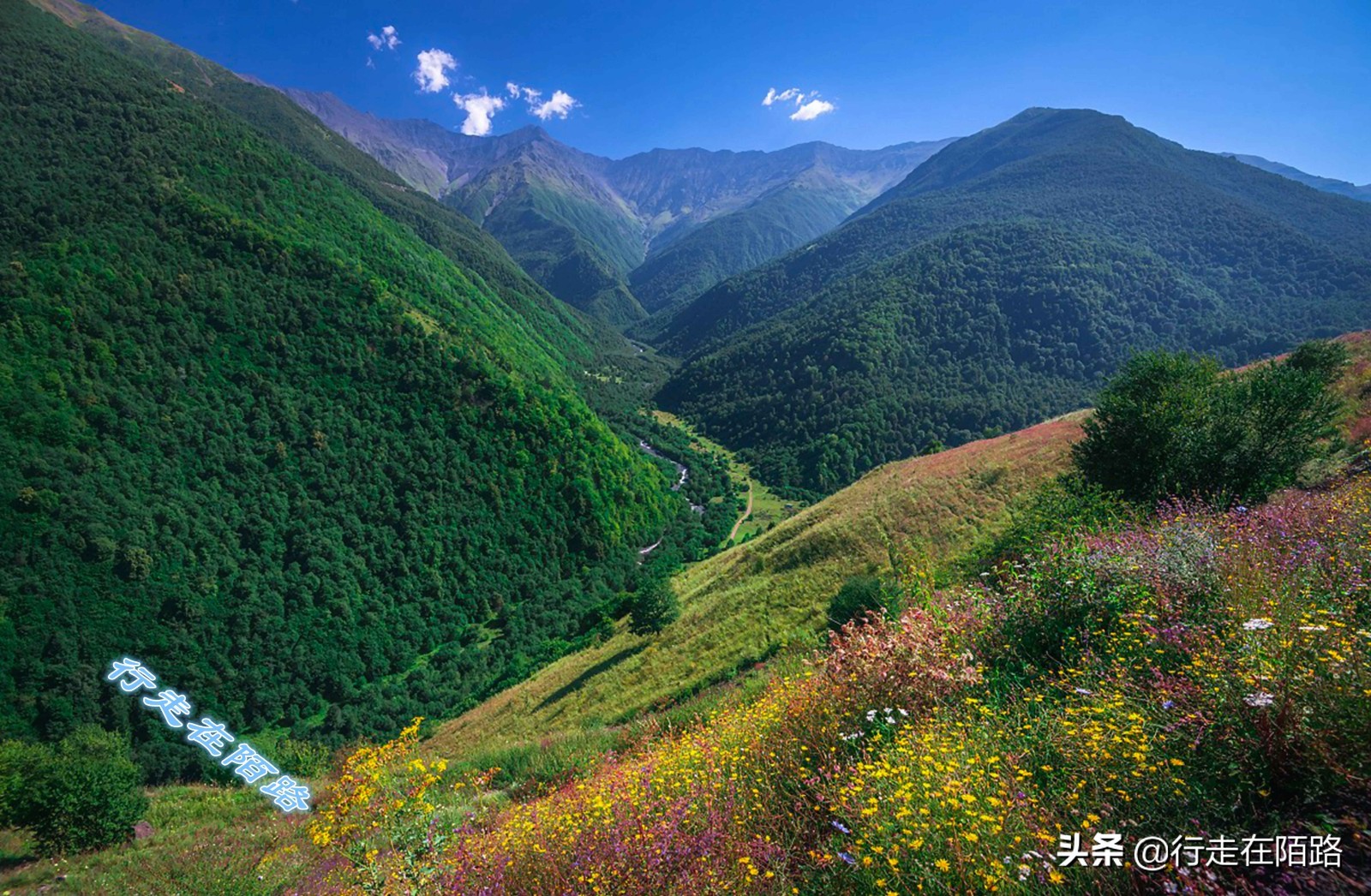 车臣战后重建20年,车臣战争战后奖励