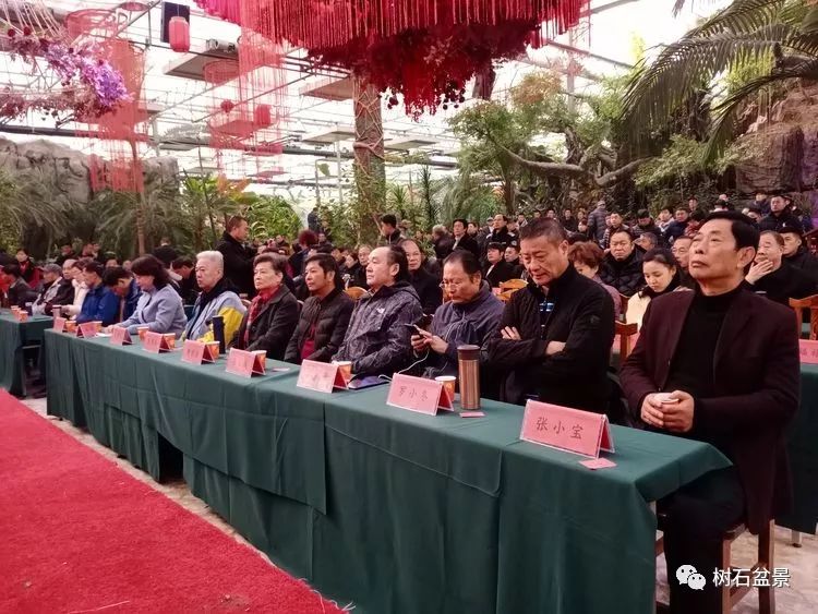 伟大使命复兴中国盆景艺术事业——2019中盆会大事回顾(下篇)