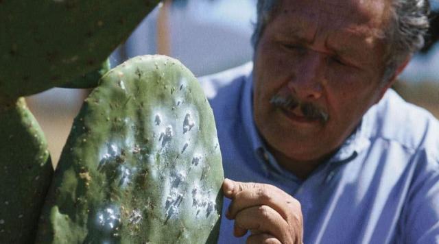 口红究竟是什么东西做的?说出来你可能不信