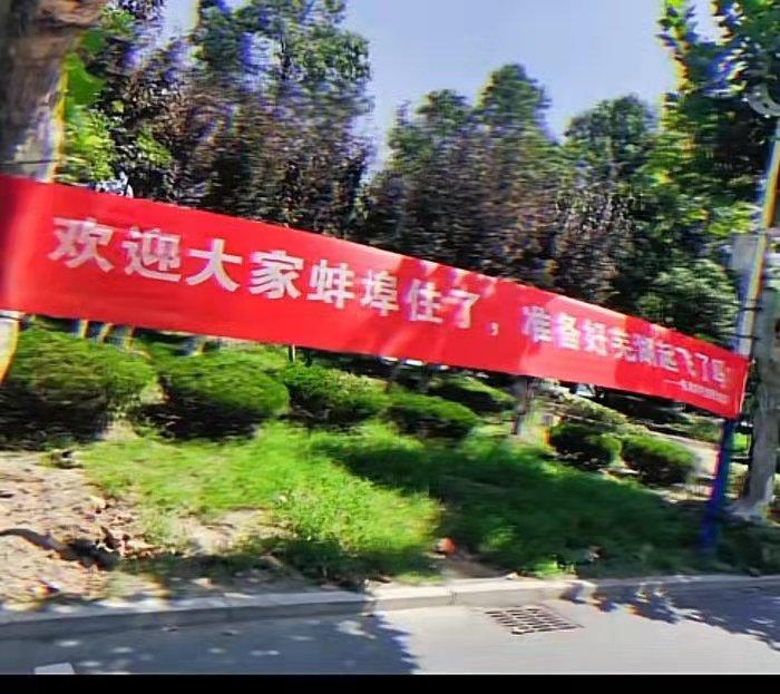 又是一年开学季,安徽财经大学迎新标语走红,网友笑出“鹅叫”