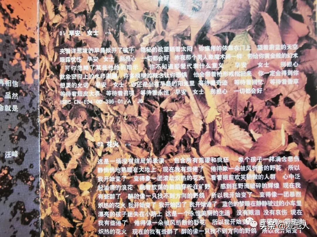 今日歌单试听,花火汪峰一起摇摆