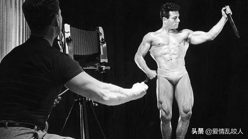 lgbt资料,lgbt是什么剧情