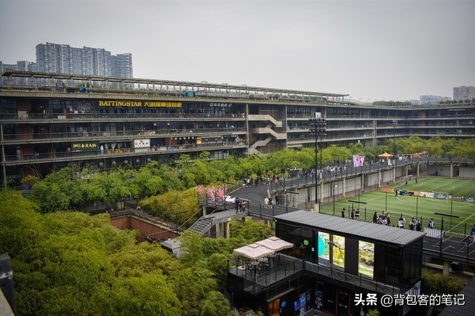 成都网红拍照打卡地景点推荐,成都打卡网红地拍照熊猫