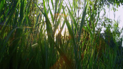 抛开一切烦恼重新开始振作起来,抛开一切烦恼重新再来