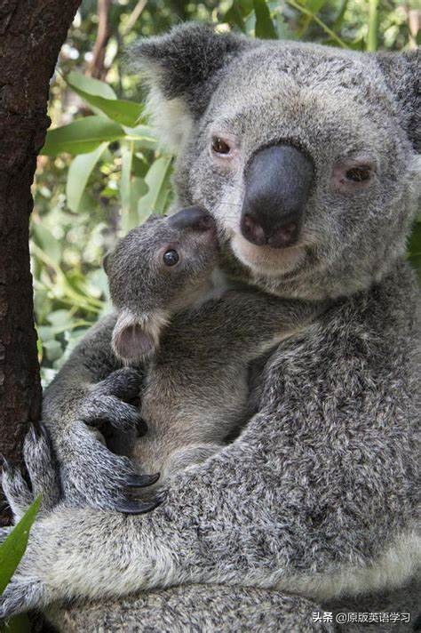 初中英语书mynameismary,三年级英语mynameissarah