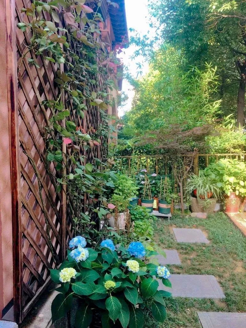 江阴最美院子图片,无锡江阴最美院子