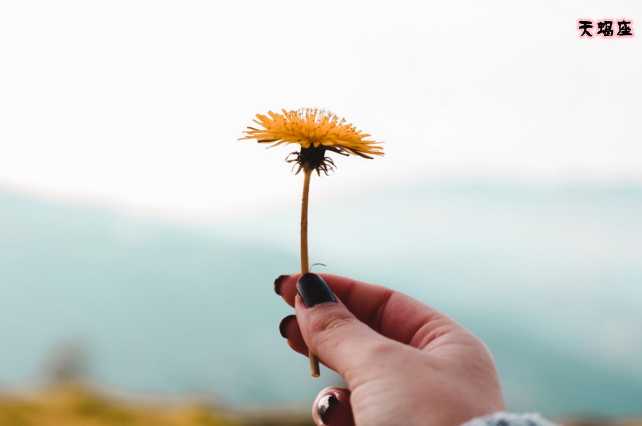 比谁都看得透彻的几大星座,深藏不露三大星座往往一鸣惊人