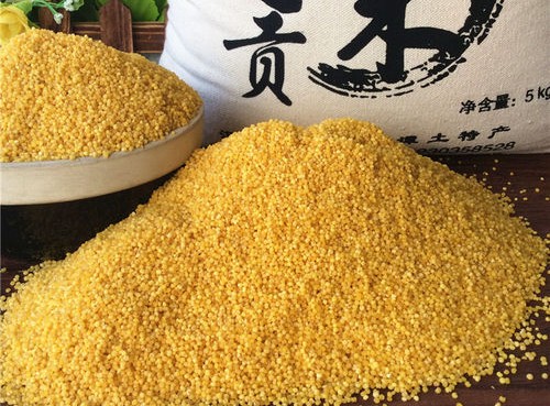 贡米就是紫米吗,贡米是大米吗