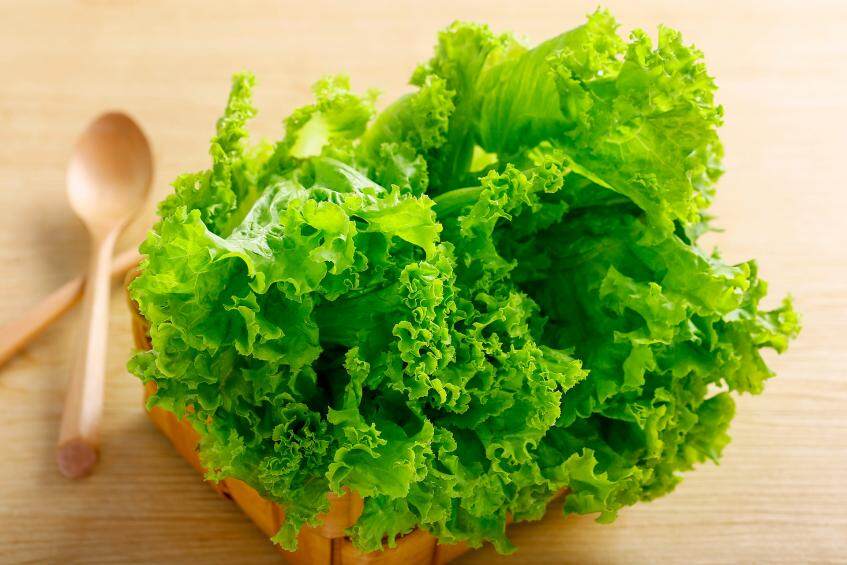 减脂期选择哪款蛋白粉比较好,蛋白质粉品牌推荐减脂