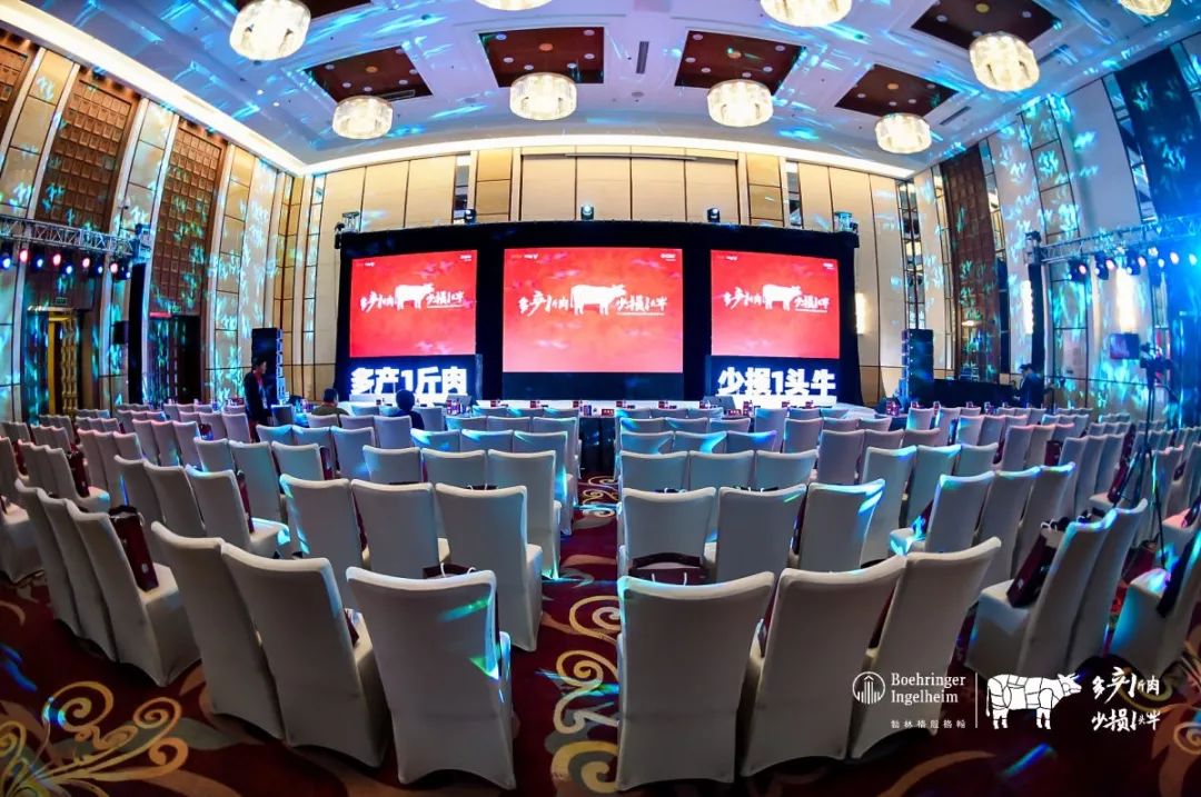 这一次，风口上站的是肉牛