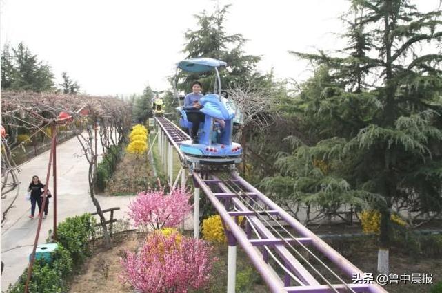 潍坊金宝乐园一日游价格,潍坊金宝乐园旅游攻略