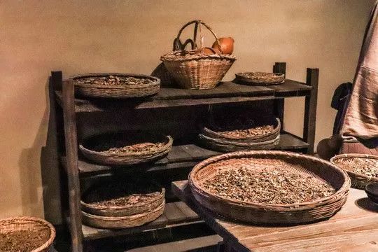 日本中医药专利真的吗,中国与日本中医药对比