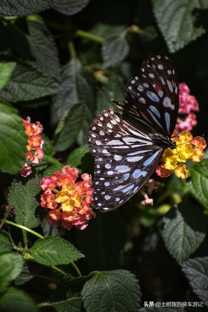 打卡溧阳天目湖御水温泉,天目湖常州溧阳御水温泉